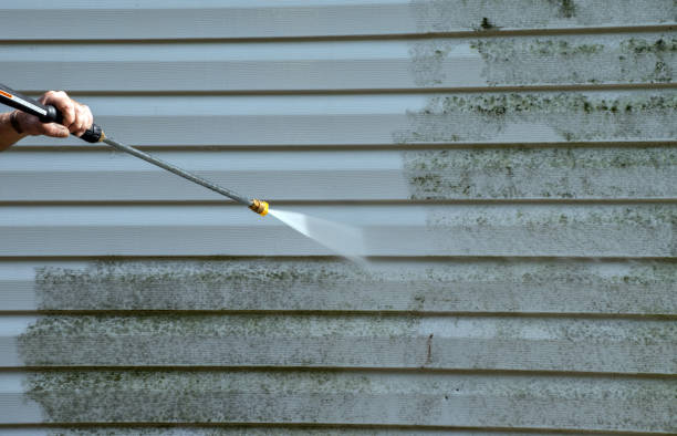 Certified Mold Removal in Baker City, OR