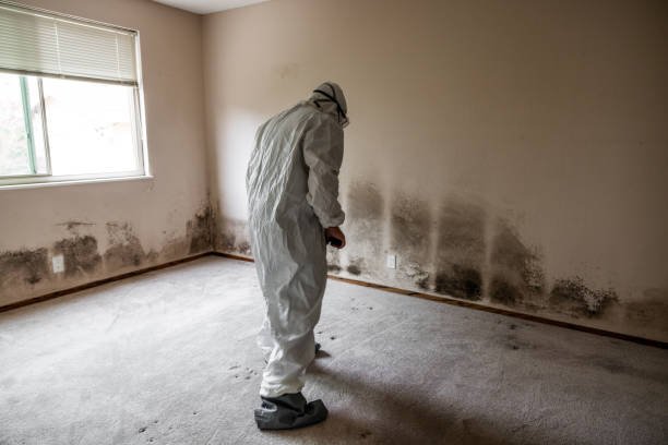Best Mold Removal Process  in Baker City, OR